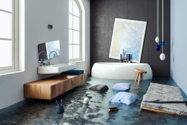 Best Water damage repair service  in Pottsboro, TX