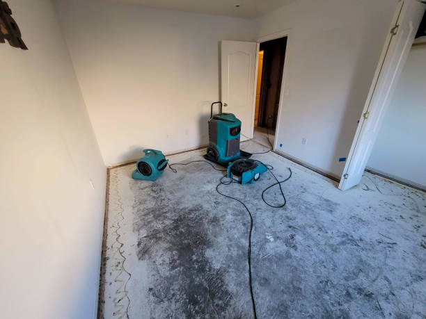 Best 24-hour water damage restoration  in Pottsboro, TX