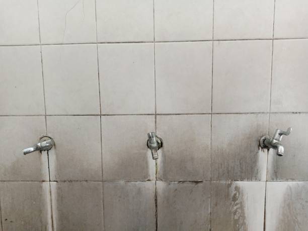 Best Water damage restoration company  in Pottsboro, TX