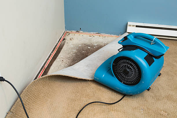 Best 24-hour water damage restoration  in Pottsboro, TX